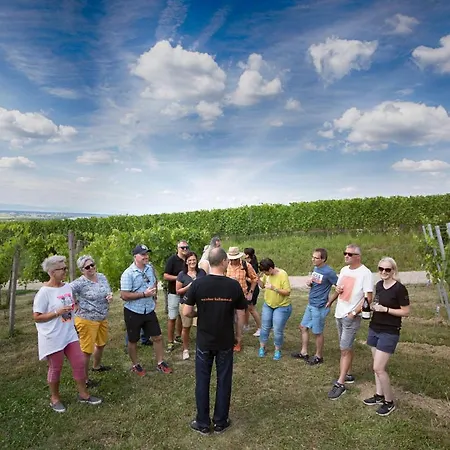 Kallmann Gaestehaus Bed & Breakfast 3*